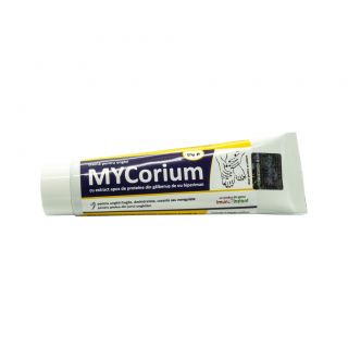 MYCorium 